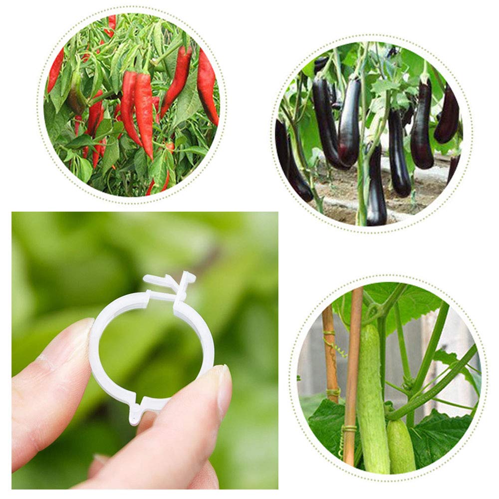 100 Counts Plant Support Clips, Vine Plastic Trellis Clips for Garden, Vine & Vegetable Support to Keep Plants Upright &Healthy(White)