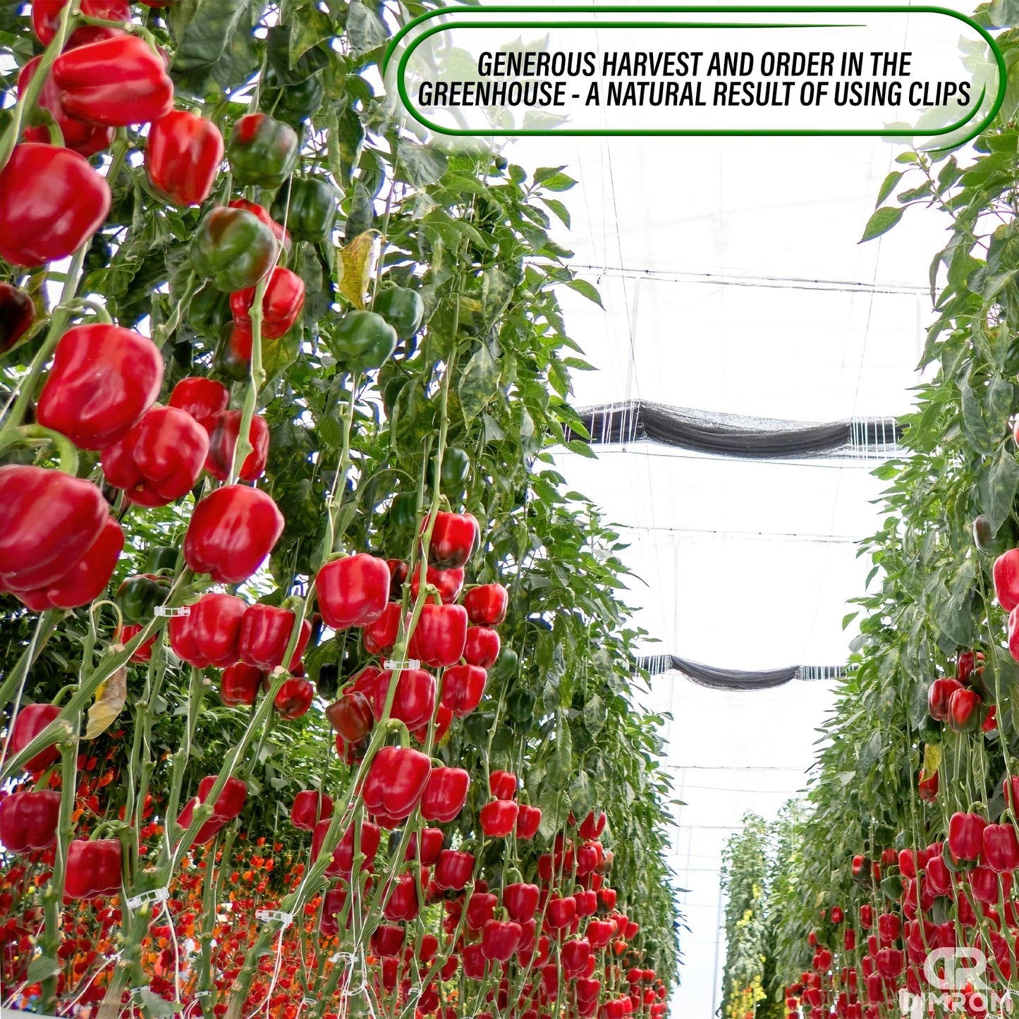 100 Counts Plant Support Clips, Vine Plastic Trellis Clips for Garden, Vine & Vegetable Support to Keep Plants Upright &Healthy(White)