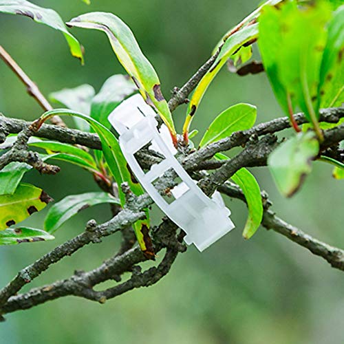 100 Counts Plant Support Clips, Vine Plastic Trellis Clips for Garden, Vine & Vegetable Support to Keep Plants Upright &Healthy(White)