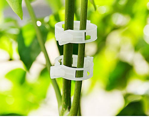 100 Counts Plant Support Clips, Vine Plastic Trellis Clips for Garden, Vine & Vegetable Support to Keep Plants Upright &Healthy(White)